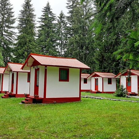 Hotel Casute Valea Zanelor Covasna Exterior foto