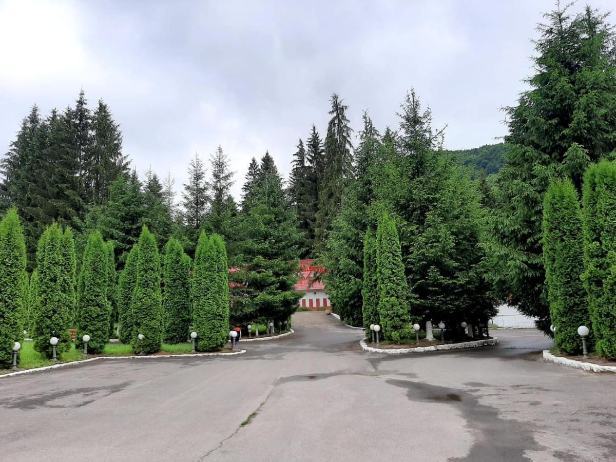 Hotel Casute Valea Zanelor Covasna Exterior foto