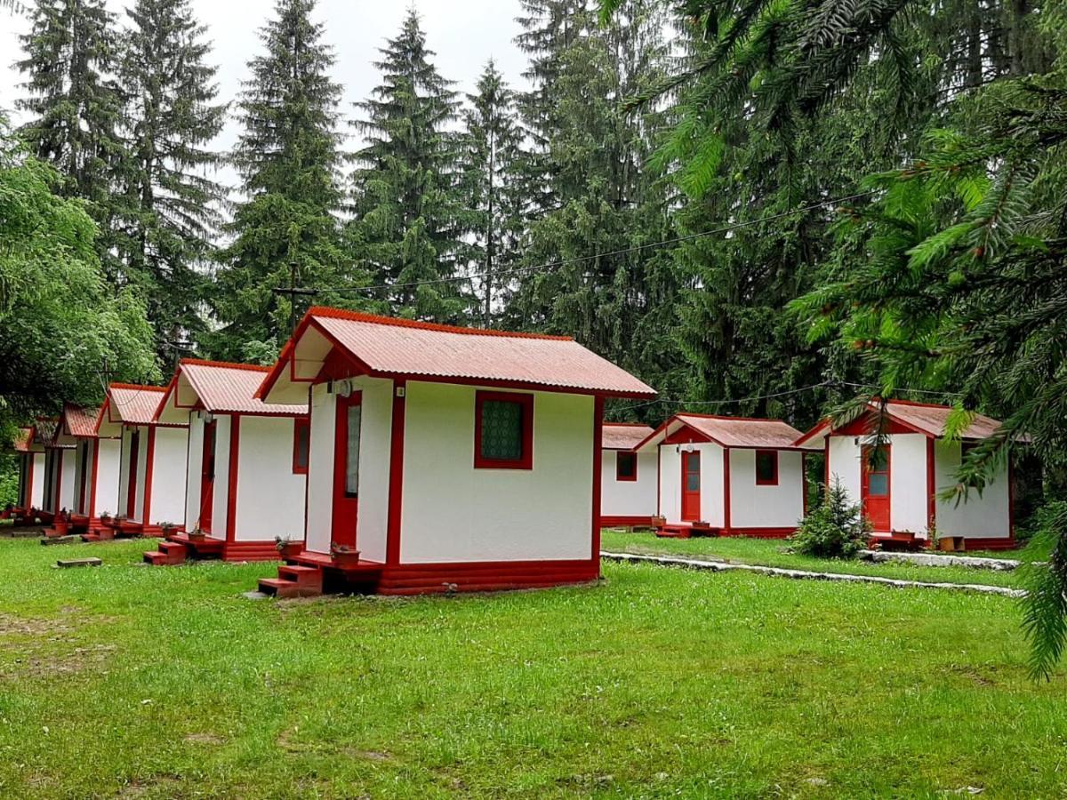 Hotel Casute Valea Zanelor Covasna Exterior foto