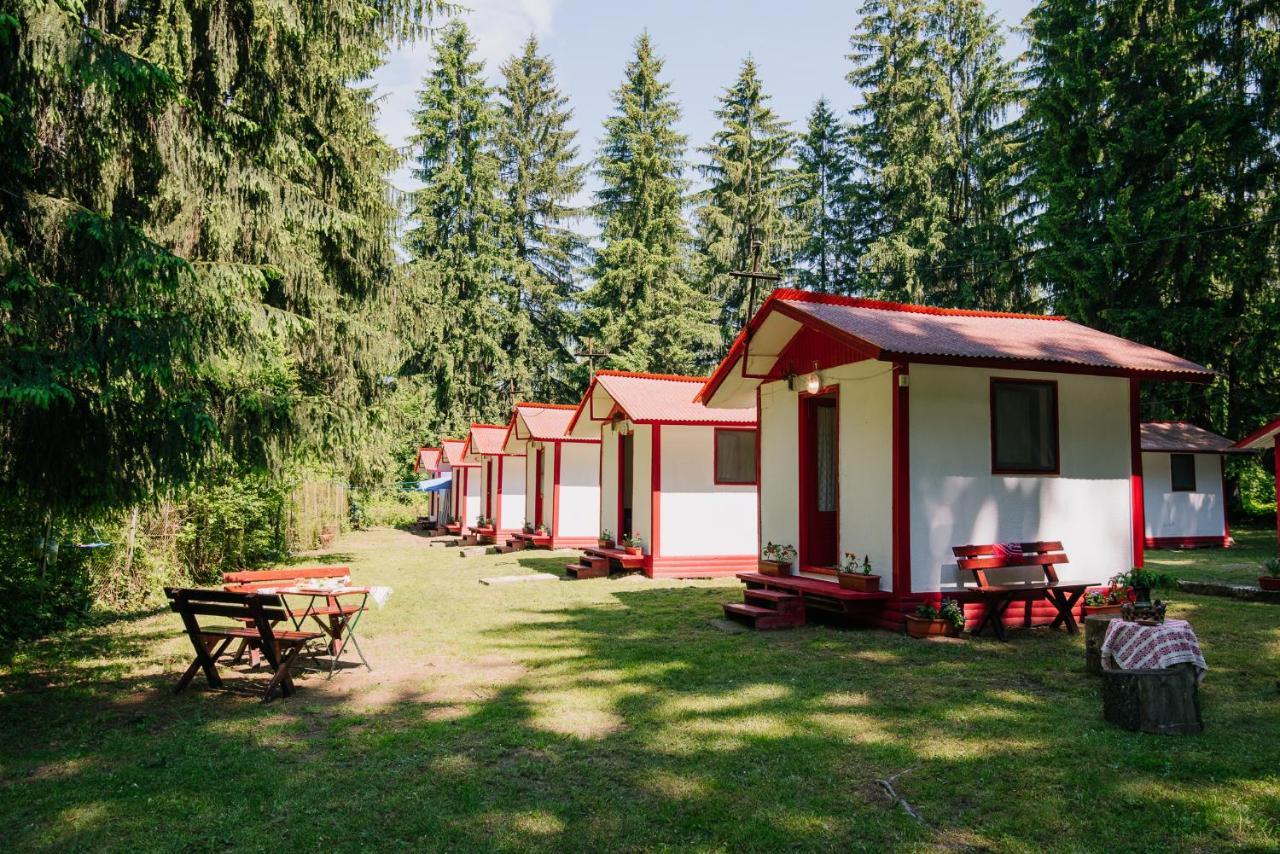 Hotel Casute Valea Zanelor Covasna Exterior foto